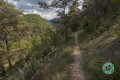 Boucle Saint-Léger-du-Ventoux - Brantes