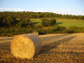 Le Mont de Cerisy