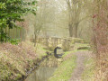 Allée des séquoias - Forêts de Ferrières et d'Armainvilliers