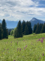 Le Moucherotte depuis le plateau de Sornin