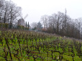 De Conflans à Sannois par les Buttes du Parisis