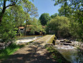 Le Bois de la Barbinière depuis Rochard