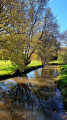 La vallée du Nahon, entre Vicq-sur-Nahon et Langé