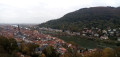 Le Neckar