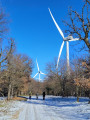 le parc éolien de Marsanne