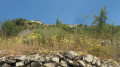 Sentier au pied de Thiéry