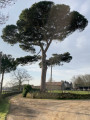 Opération "Terres Romanaises "