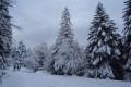 Le poids des flocons