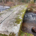 Le pont planche