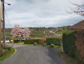 Le puy de l'Aube avec vue sur Chanac-les-mines