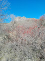 le roc de gourdon en hiver