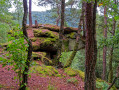 Le rocher de l'étang