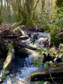 Grande boucle du Chalaux, des Vernois et du lac