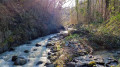 Le Ruisseau de la Font Vieille