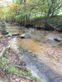 Le ruisseau devant la « Platte des Troignes »