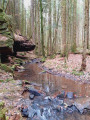 Le ruisseau et belle vallée de la gorge le loup