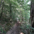 Le sentier de randonnée à l'approche du hameau "le Coudert"