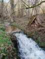 Le sentier des cascades