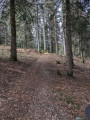 Sentier de découverte des géants au Col de Porte