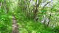 Le sentier du retour longe la Loire