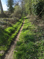 Le sentier en lisière du bois de Cranne