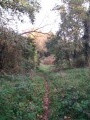 Le sentier longe la rive sauvage de la Loire