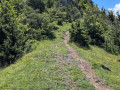 Le sentier pour rejoindre le château