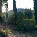 Le sentier qui monte vers la Croix