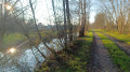 Les bois, le bocage et le marais autour de Geay