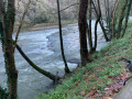 Le stade en eaux vives