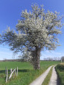 Les contreforts du Limousin au départ de Montbron