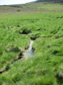 Sources du Tarn et Pic Cassini