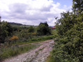 Boucle depuis Trèves par les croix de Crème, du Trève et de Longes