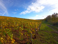 Le vignoble de Vaux