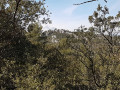 Les gorges de la petite Sainte Baume