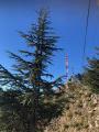 Les antennes de la Cime du Bosc