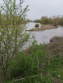 Les bords de Loire