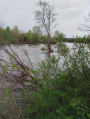 Des Grands Chambons jusqu'aux bords de Loire à Balbigny