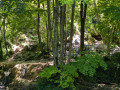 les Cascades de Roquefort