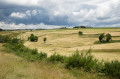 Les champs de Chalmette