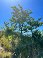 Les coteaux et la forêt de Saint-Michel