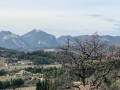 Les Dentelles de Montmirail