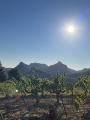 Les dentelles de Montmirail