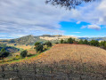 Les Dentelles de Montmirail