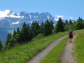 les Dents du Midi