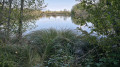 Bois et marais à Passins