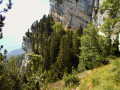 Sangle de Belles Ombres par le Col de l'Alpette