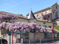 Les Glycines à Cahors