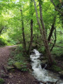 Les gorges du désert