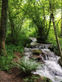 Les Gorges du désert